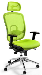 Ergonomischer VIP-Drehstuhl mit Netzrückenlehne (Farbe grün)