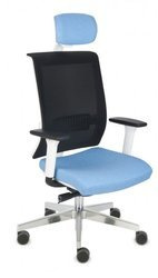 Ergonomischer Bürostuhl Level WS HD Chrom FLEX FX-08 Polsterung